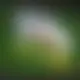 Zagraj Let It Ride z Playtech w {"id":80,"name":"LuckyBird","design":{"logo":"luckybird-logo-uzhIg4.svg","favicon":"luckybird-favicon-udvP00.png","banner_poker":"luckybird-poker-8zitk2.webp","banner_mobile":"luckybird-mobile-5XvFwd.webp","block_bg_color":"#1E3A8A","image_bg_color":"#1E1B4B","banner_bg_color":"#1e3a8a","block_text_color":"#ffffff","primary_bg_color":"#1e1b4b","banner_text_color":"#fff","footer_logos_type":"white","block_round_radius":"0.5rem","primary_text_color":"#ffffff","button_round_radius":"9999px","banner_welcome_bonus":"luckybird-welcome-bonus-Wz5vkU.webp","primary_button_bg_color":"#4ade80","primary_button_text_color":"#1E1B4B","secondary_button_bg_color":"#1E3A8A","secondary_button_text_color":"#fff"},"created_at":"2025-05-14T09:25:23.000000Z","updated_at":"2025-05-14T09:25:23.000000Z","deleted_at":null}
